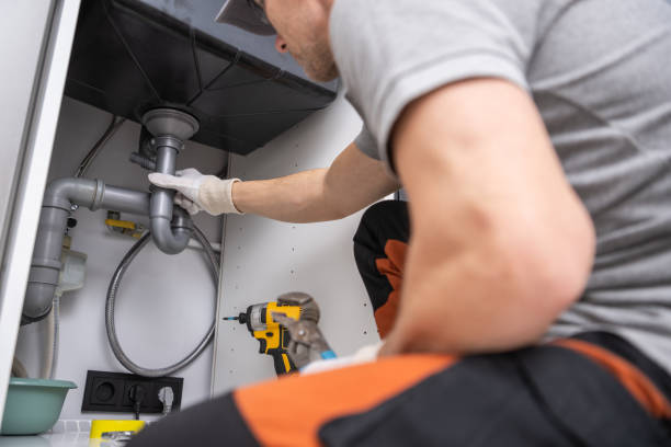 Best Garbage Disposal Repair and Installation  in Stevenson, WA